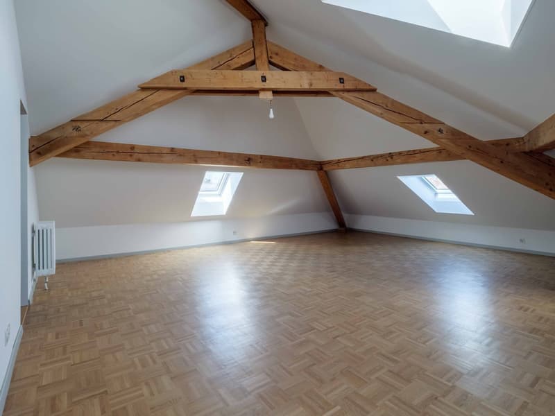 Appartement 4.5 pièces rénové au coeur de Fribourg (8)