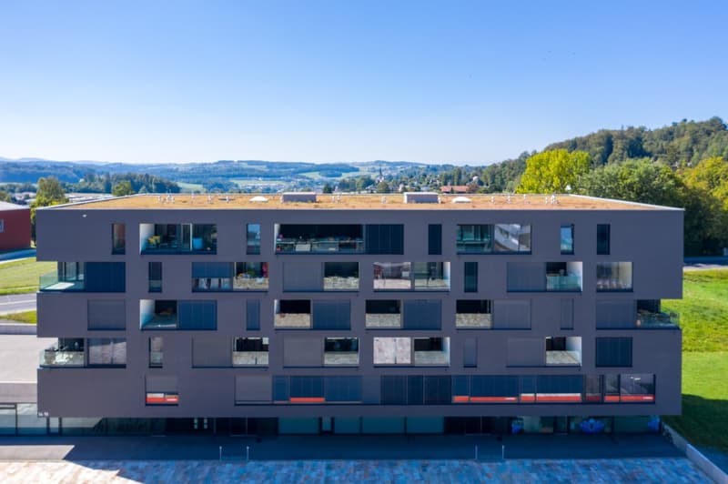 Surface commerciale d'env. 113 m2 à louer (5)