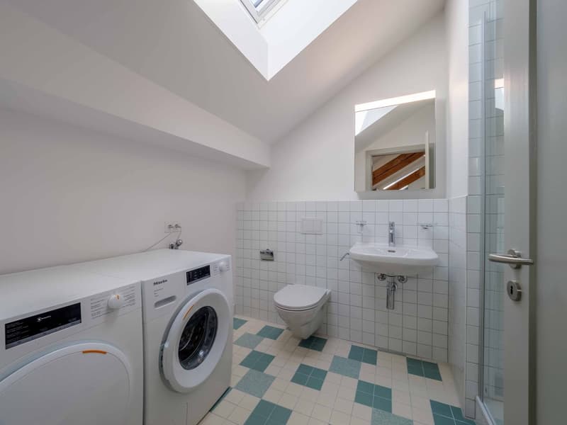 Appartement 4.5 pièces rénové idéal pour une colocation (6)