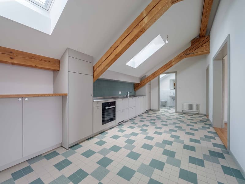 Appartement 4.5 pièces rénové idéal pour une colocation (1)