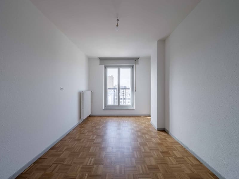 Appartement 4.5 pièces rénové idéal pour une colocation (3)