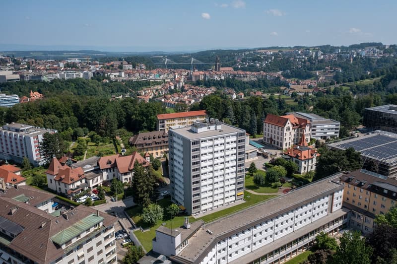 Appartement de 4.5 pièces au dernier étage avec balcon (4)