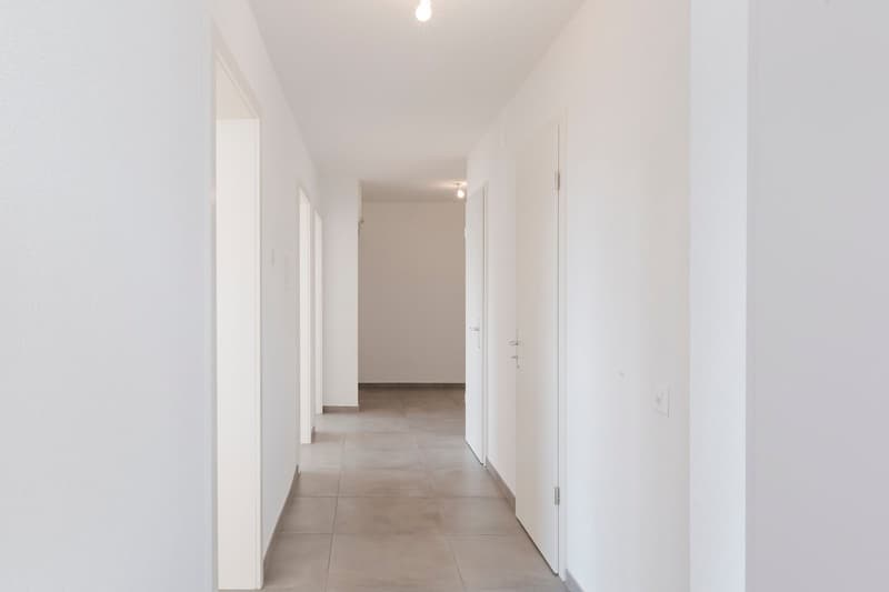 Appartement 4.5 pièces à Fribourg ! (11)