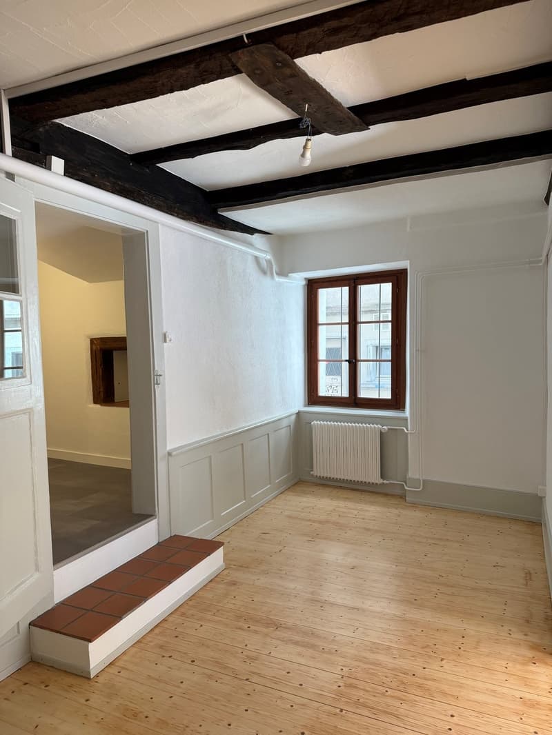 Appartement 2.5 pièces rénové en vieille ville de Fribourg (8)
