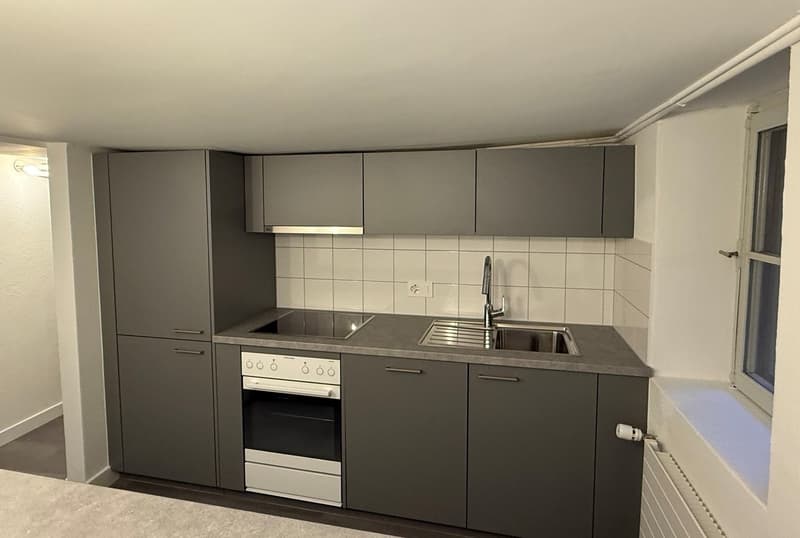 Appartement 2.5 pièces rénové en vieille ville de Fribourg (3)