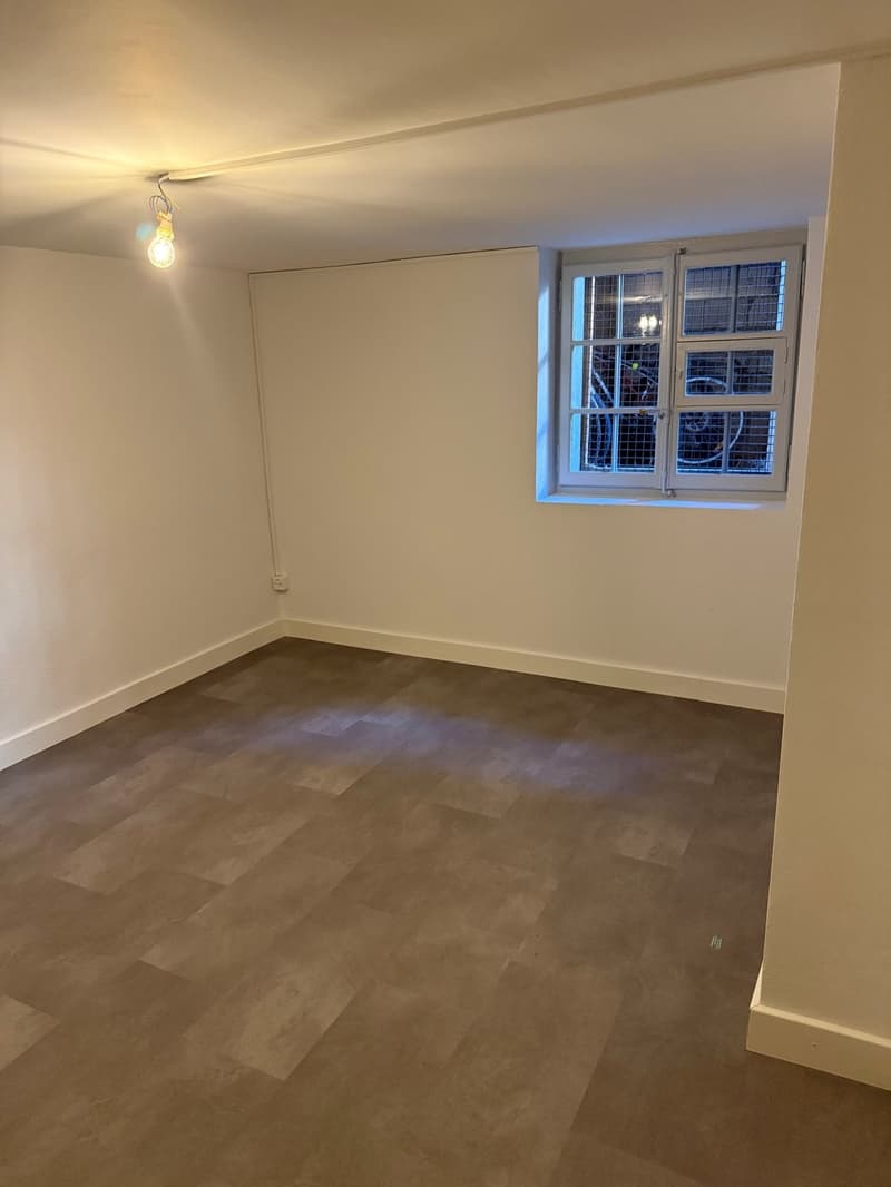 Appartement 2.5 pièces rénové en vieille ville de Fribourg (4)
