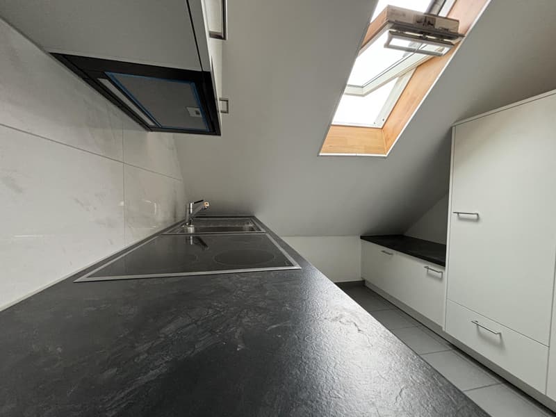 Opportunité à saisir : Duplex de 3,5 pièces partiellement rénové (4)