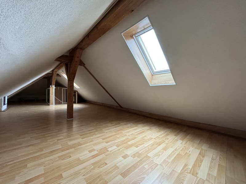 Opportunité à saisir : Duplex de 3,5 pièces partiellement rénové (2)