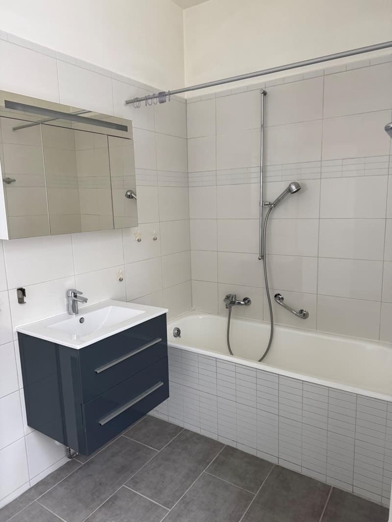 Appartement de 3.5 pièces à louer, avec jardin commun (5)
