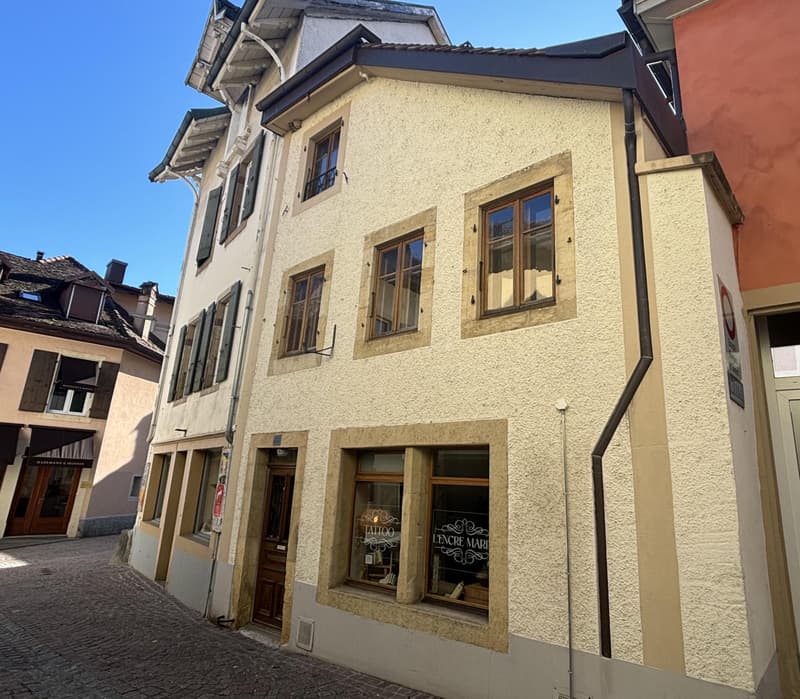 À LOUER ? Appartement atypique de 2.5 pièces en duplex à Saint-Aubin (6)