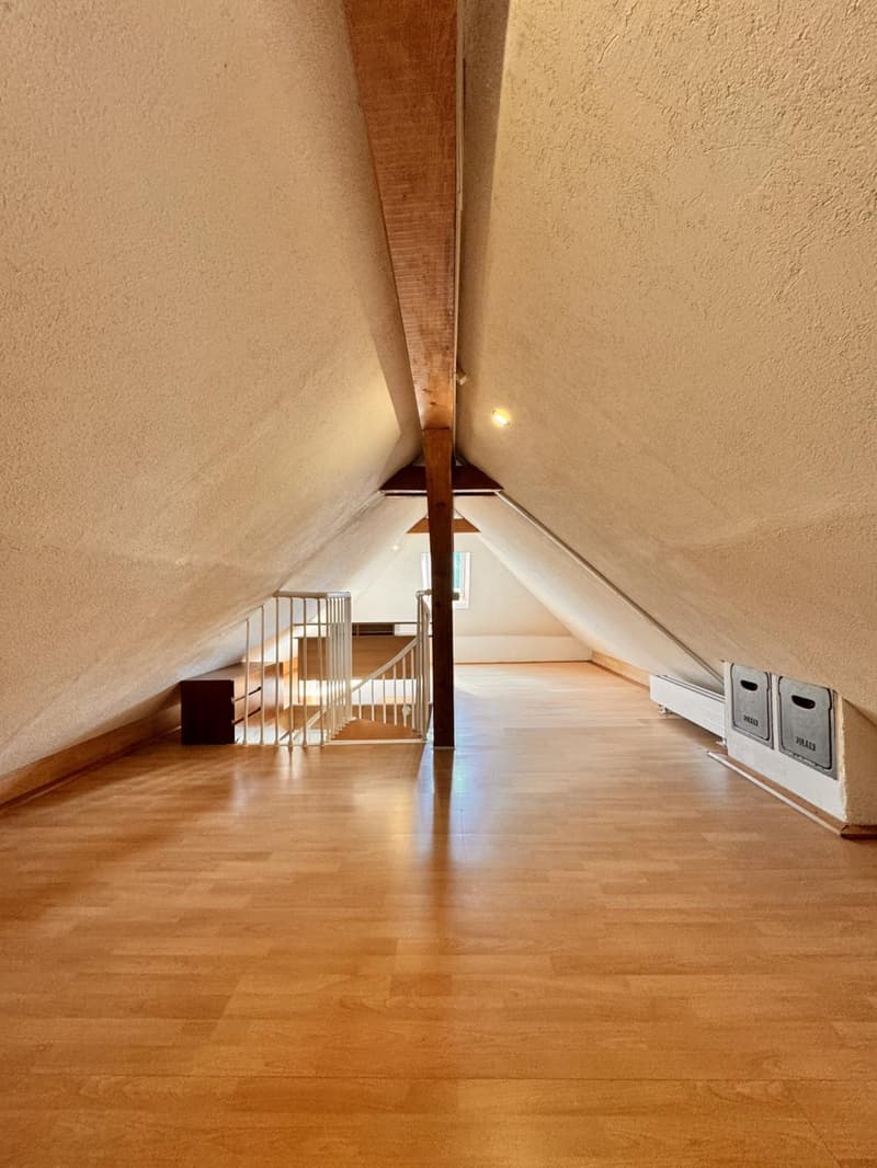 Appartement de 3,5 pièces en duplex (4)