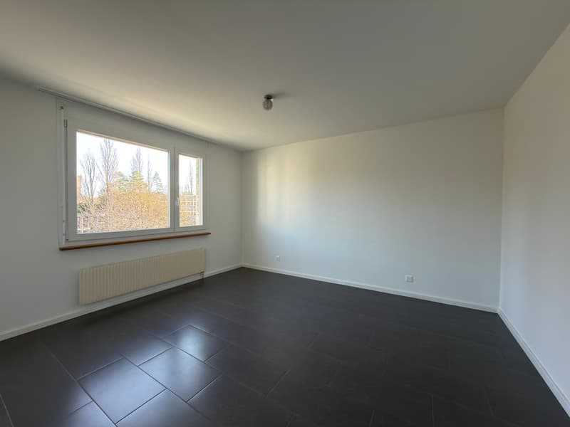 Appartement rénové de 3.5 pièces à Bienne (5)