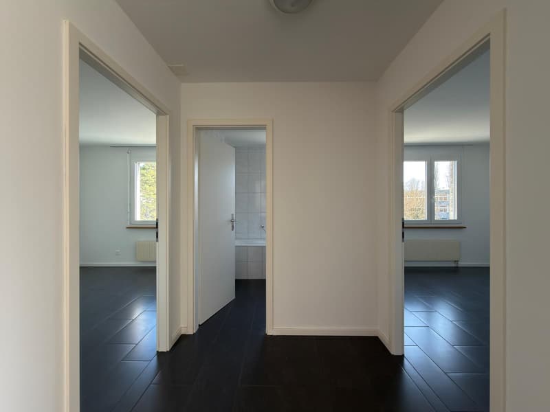 Appartement rénové de 3.5 pièces à Bienne (4)