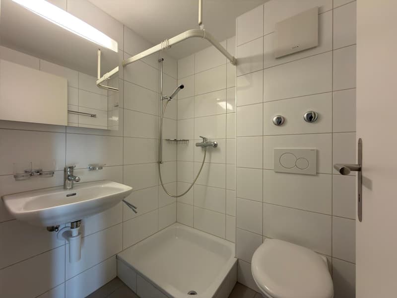 Appartement de 2 pièces dans le quartier de mâches (6)