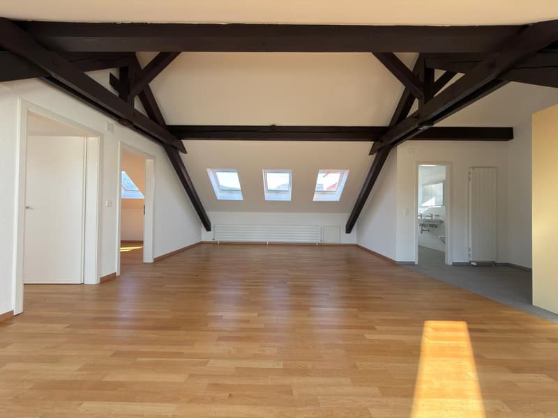 Appartement de 3 pièces dans les combles (2)