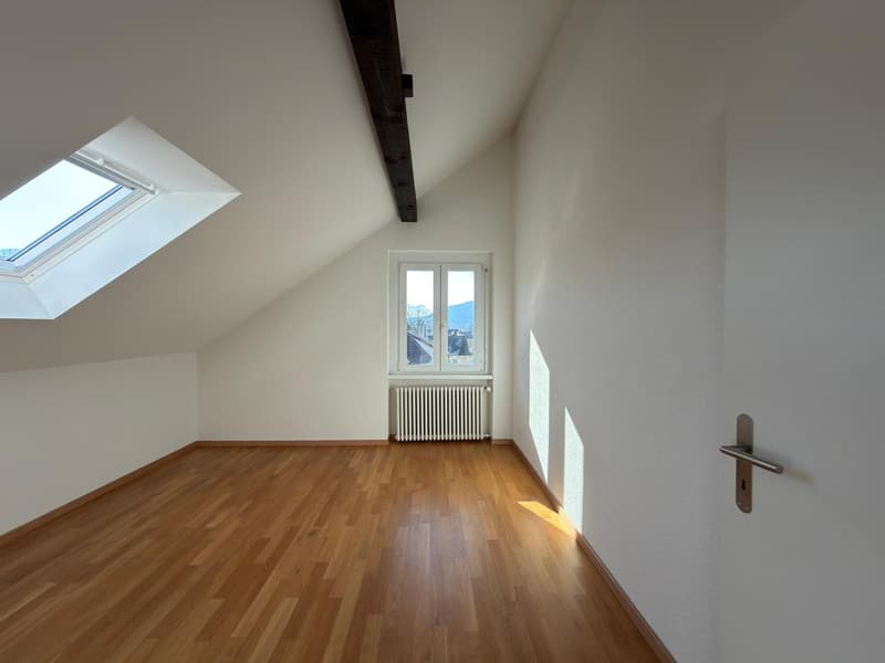 Appartement de 3 pièces dans les combles (3)