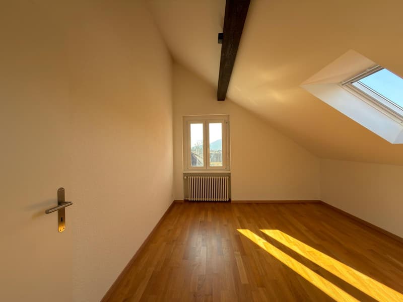 Appartement de 3 pièces dans les combles (4)