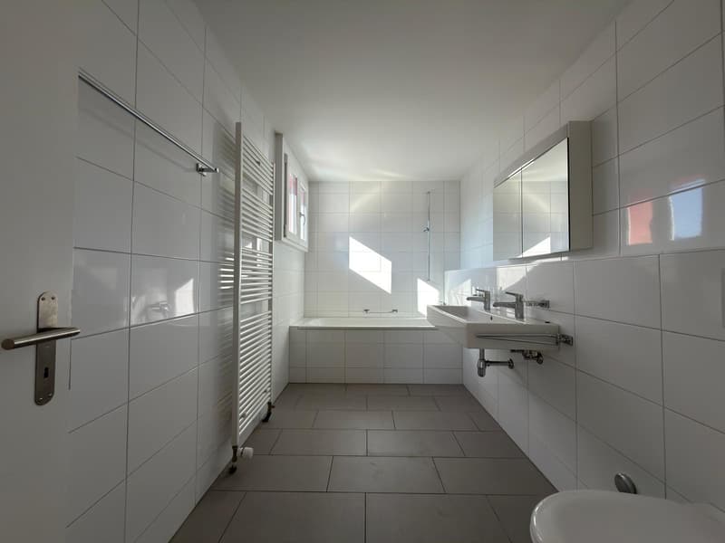 Appartement de 3 pièces dans les combles (5)