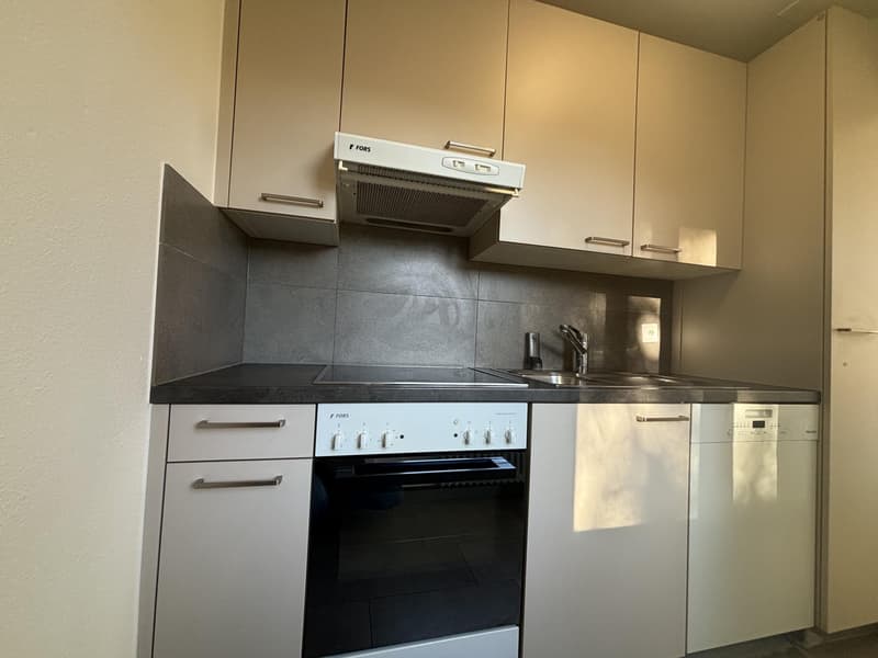 À louer : charmant appartement de 3 pièces ? Le Landeron (5)