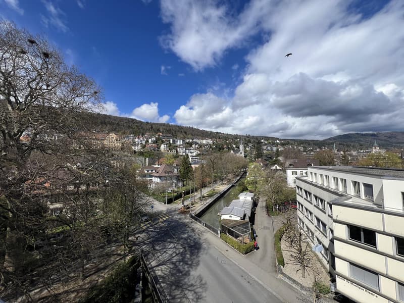 À louer ? Superbe attique de 6.5 pièces avec terrasse panoramique (3)