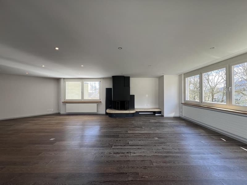 À louer ? Superbe attique de 6.5 pièces avec terrasse panoramique (10)