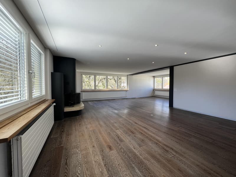À louer ? Superbe attique de 6.5 pièces avec terrasse panoramique (12)
