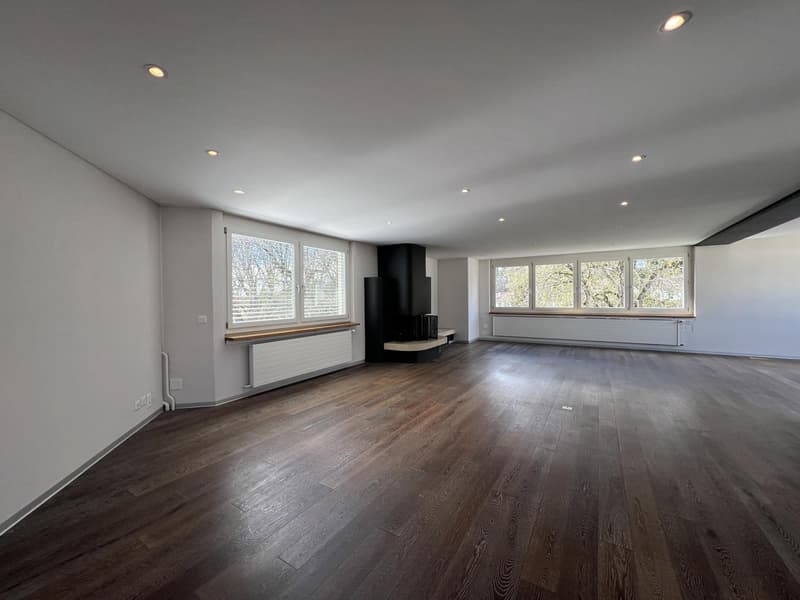 À louer ? Superbe attique de 6.5 pièces avec terrasse panoramique (8)