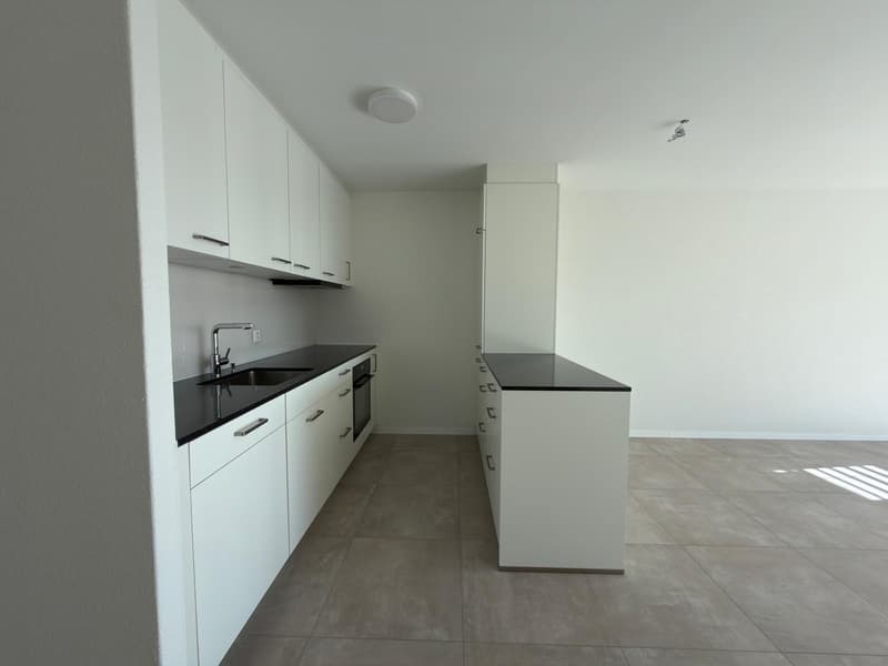 Bel appartement de 3 pièces rénové (4)