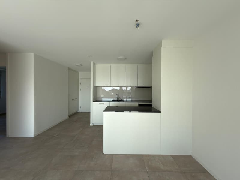 Bel appartement de 3 pièces rénové (3)