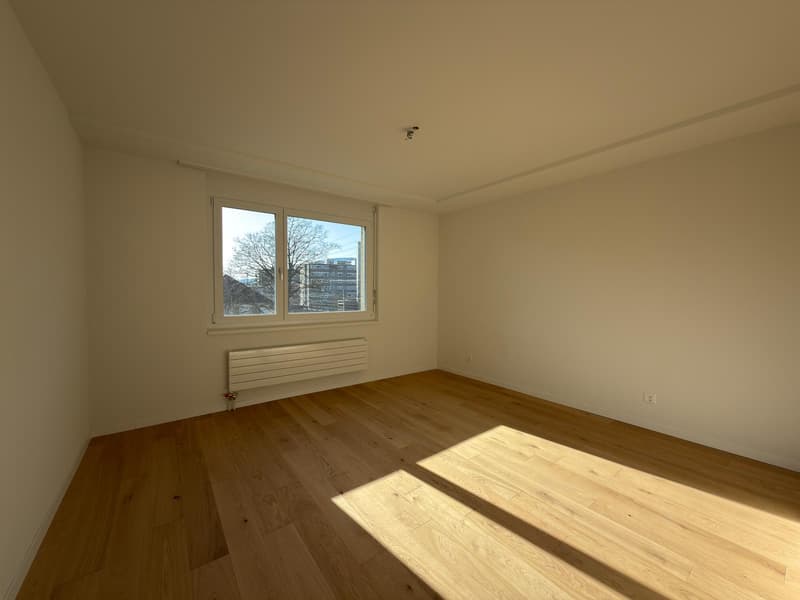 Bel appartement de 3 pièces rénové (6)