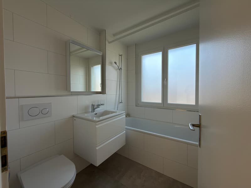 Bel appartement de 3 pièces rénové (8)