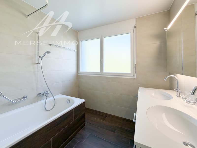 Attique lumineux avec grande terrasse et vue dégagée (12)