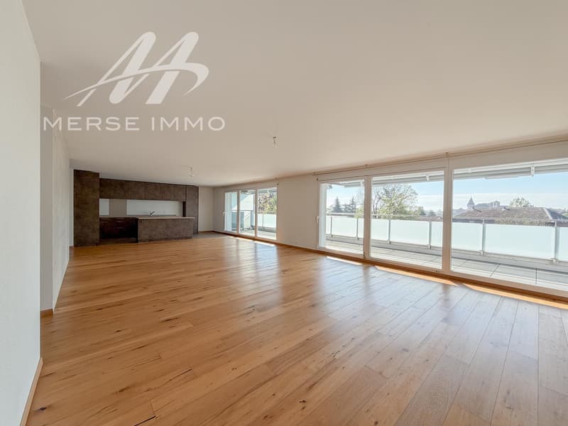 Attique lumineux avec grande terrasse et vue dégagée (4)