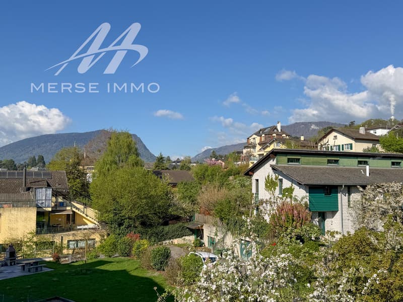 Attique lumineux avec grande terrasse et vue dégagée (7)