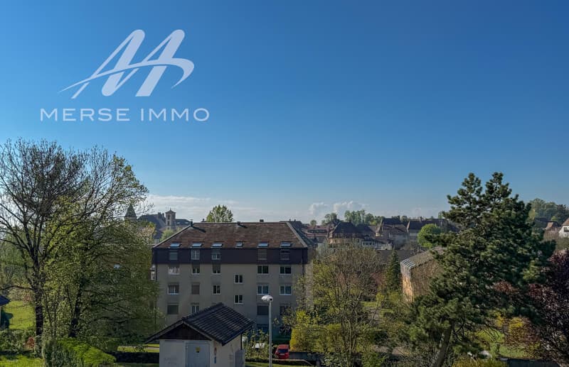Attique lumineux avec grande terrasse et vue dégagée (6)