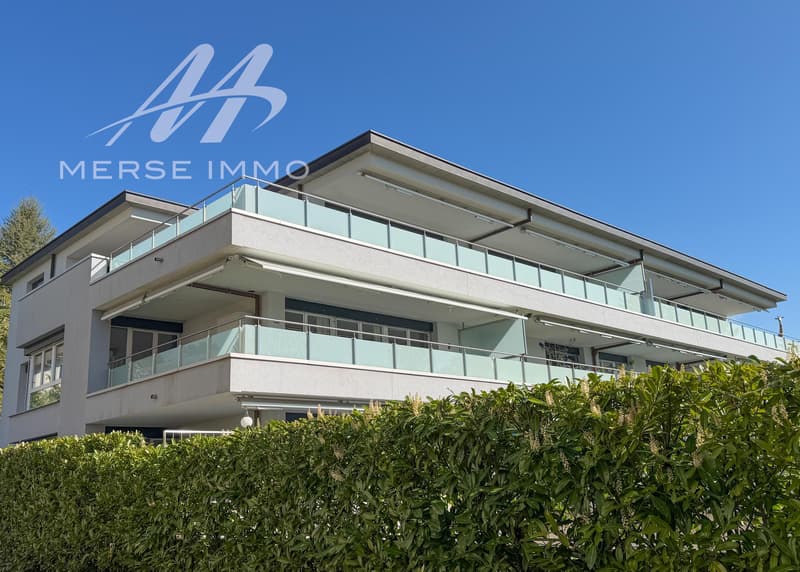Attique lumineux avec grande terrasse et vue dégagée (13)
