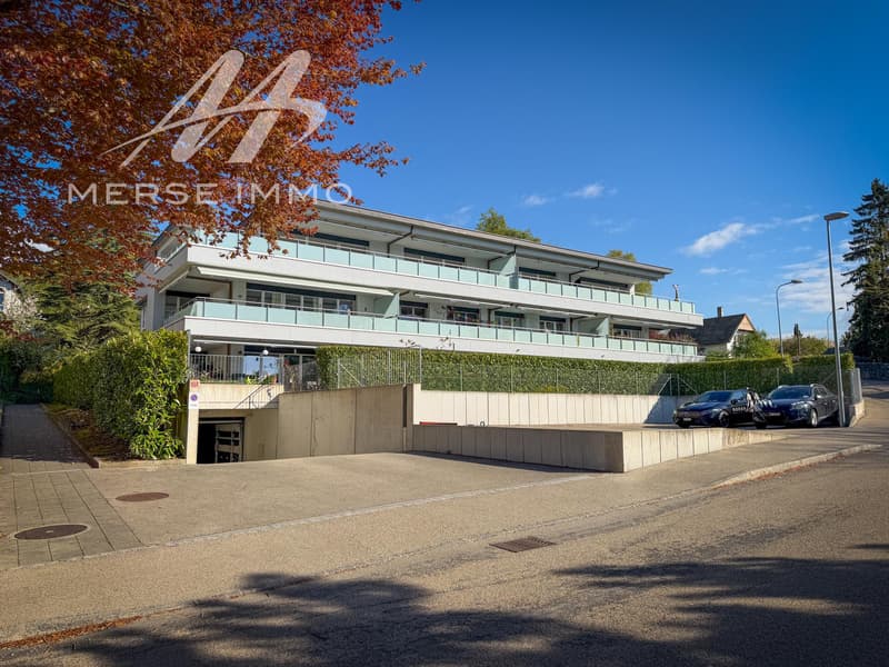 Attique lumineux avec grande terrasse et vue dégagée (2)