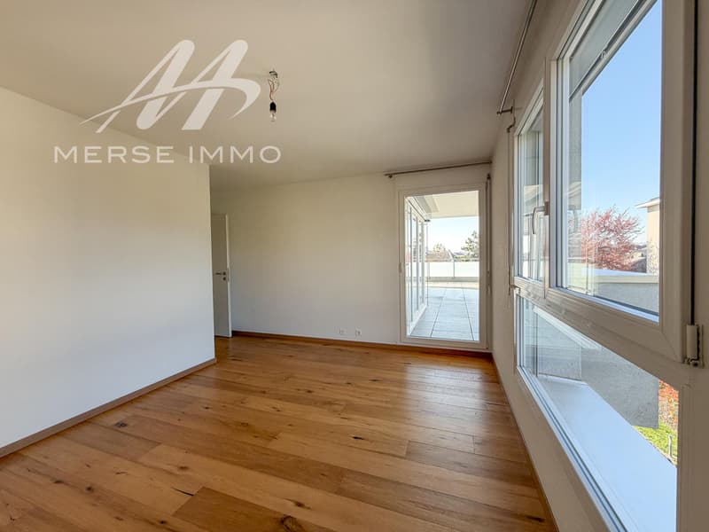 Attique lumineux avec grande terrasse et vue dégagée (11)