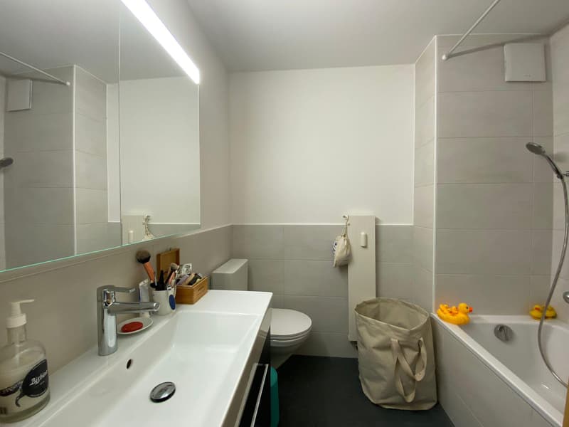 À louer ? Magnifique appartement de 4.5 pièces au dernier étage en centre-ville (8)