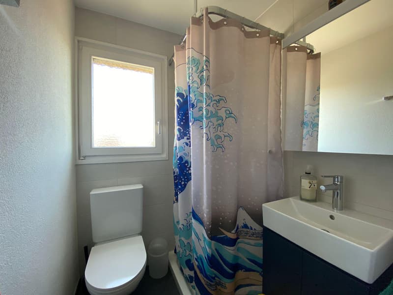 À louer ? Magnifique appartement de 4.5 pièces au dernier étage en centre-ville (7)