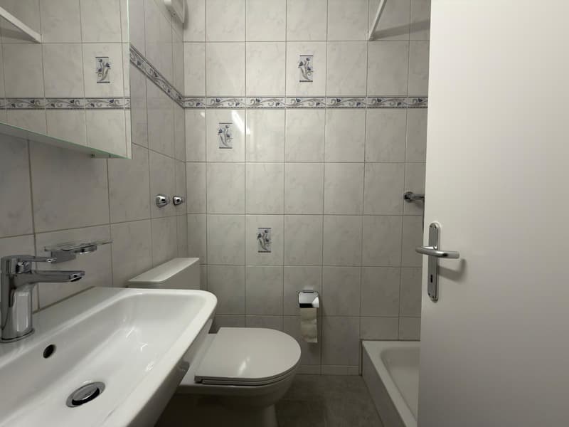 Appartement de 4.5 pièces avec terrasse (8)
