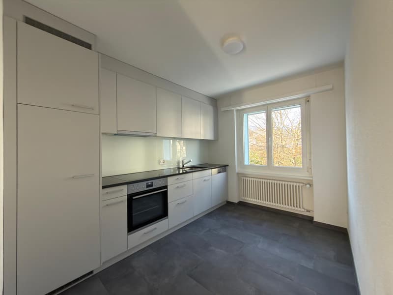 Appartement de 4.5 pièces avec terrasse (3)