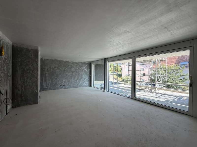 Attique neuf de 5.5 pièces avec terrasse de 40 m2 (1)