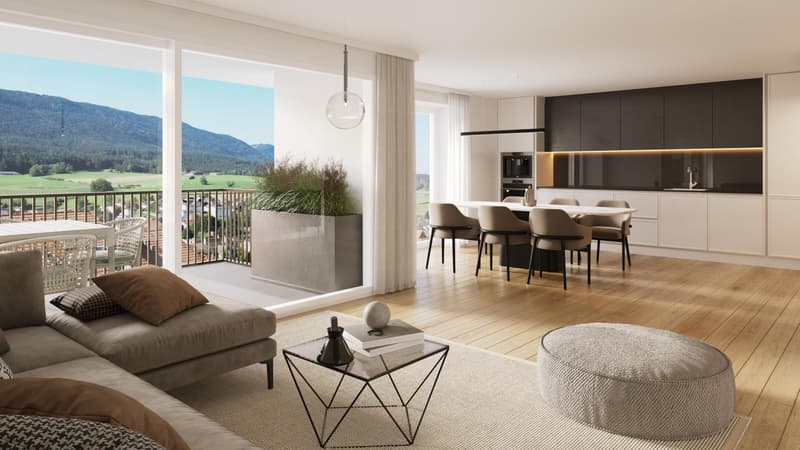 Appartement neuf spacieux de 5.5 pièces avec grand balcon orienté sud-est (1)