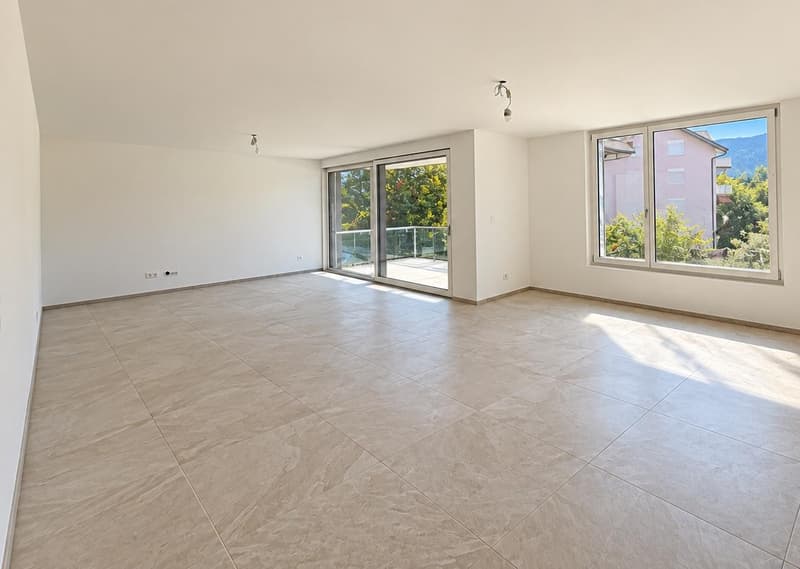 Spacieux 5.5 pièces avec terrasse exceptionnelle de 56 m² (1)