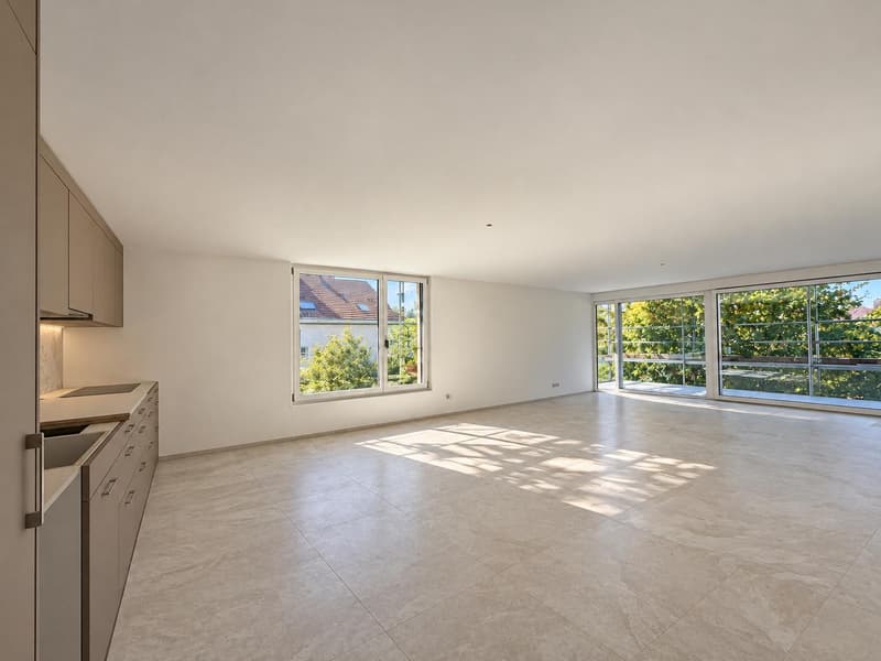 Appartement neuf de 5.5 pièces (1)