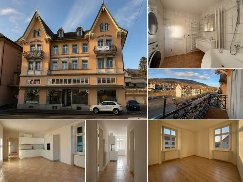 Charmant appartement 4.5 pièces rénové avec garage (8)