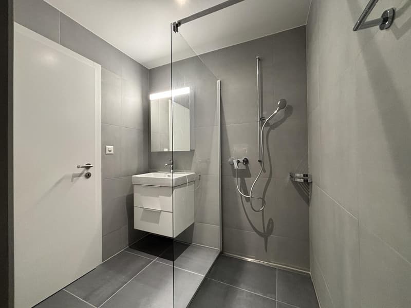 2190 - Studio neuf au rez-de-chaussée (3)