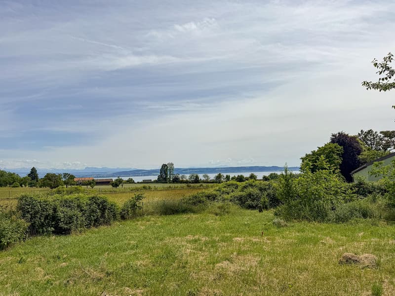 Aristea ? Maison mitoyenne - lot B (2)