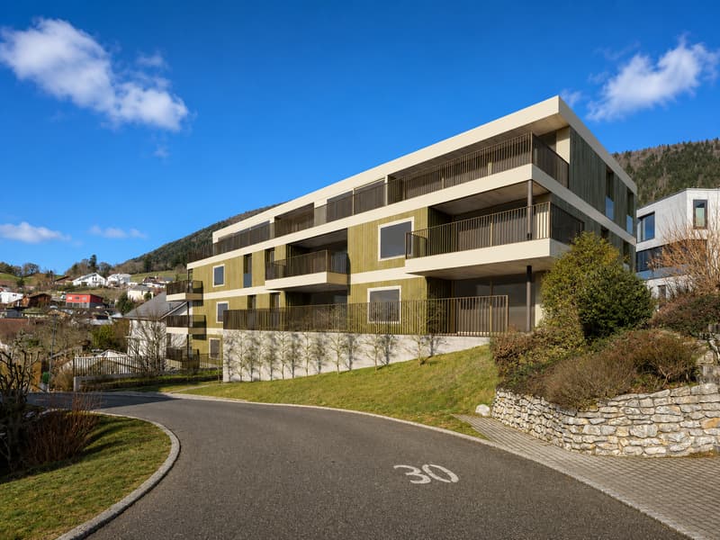 Spacieux 5.5 pièces avec balcon couvert orienté sud-ouest (2)